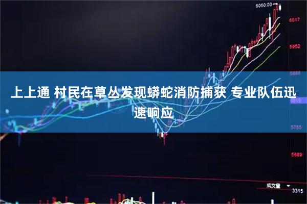 上上通 村民在草丛发现蟒蛇消防捕获 专业队伍迅速响应