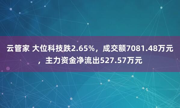 云管家 大位科技跌2.65%，成交额7081.48万元，主力资金净流出527.57万元